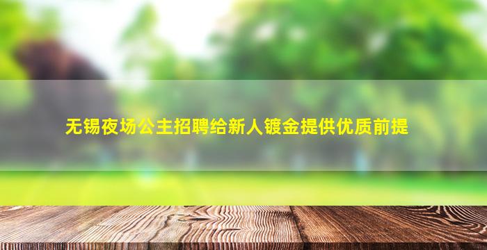 无锡夜场公主招聘给新人镀金提供优质前提